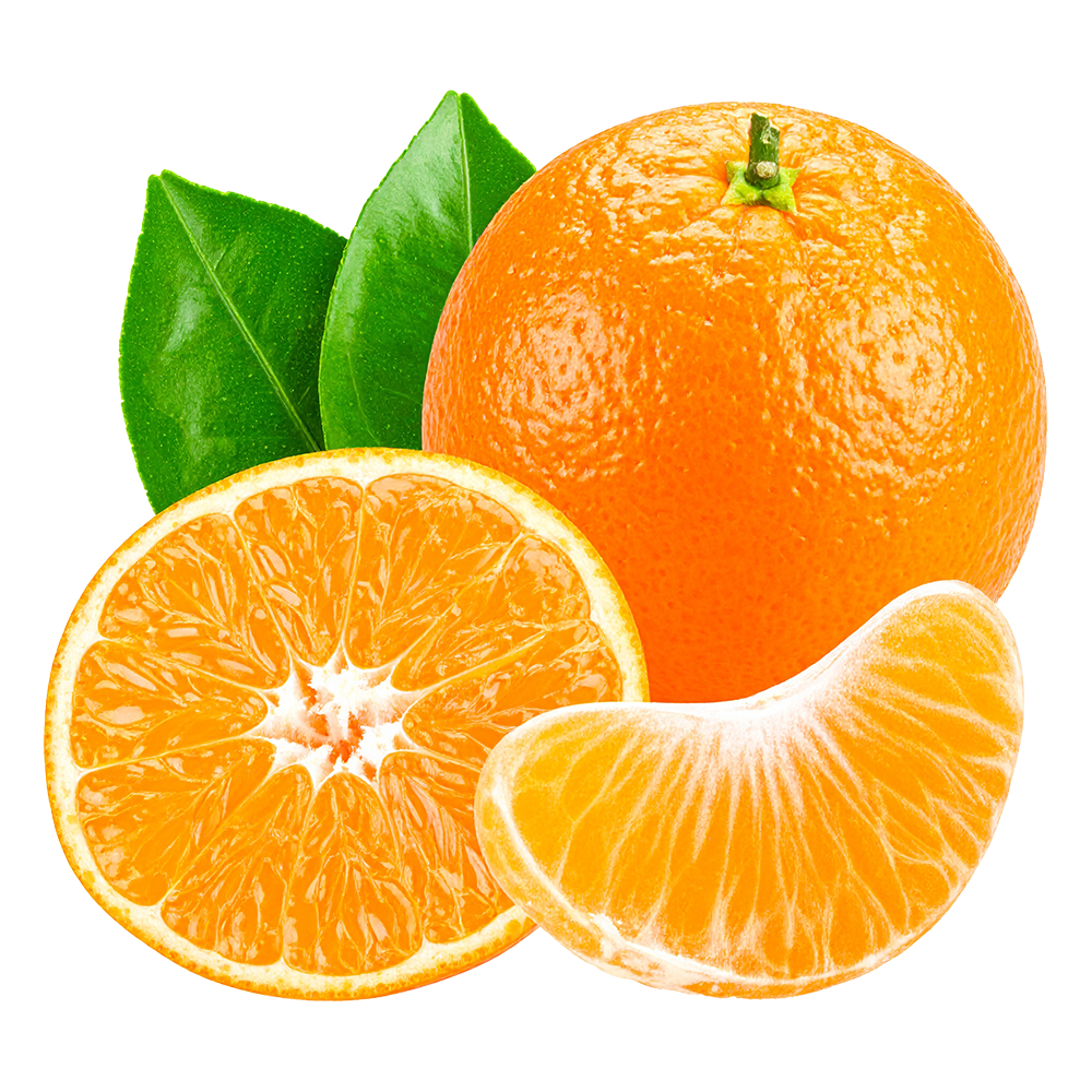 High-quality free mandarin orange illustrations