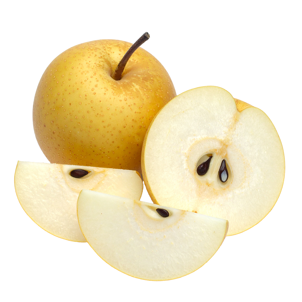 Free illustration of a whole and sliced Japanese Nashi pear. High quality, transparent background stock material for commercial use.