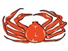Crab / Crab-Food ｜ Food ｜ Free Illustration Material